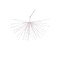 Vickerman 240Lt x 32" White Starburst Pure White 5mm Twinkle LED Lights.